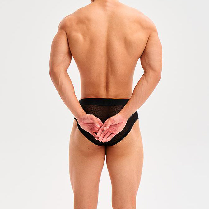 Snake print mesh briefs