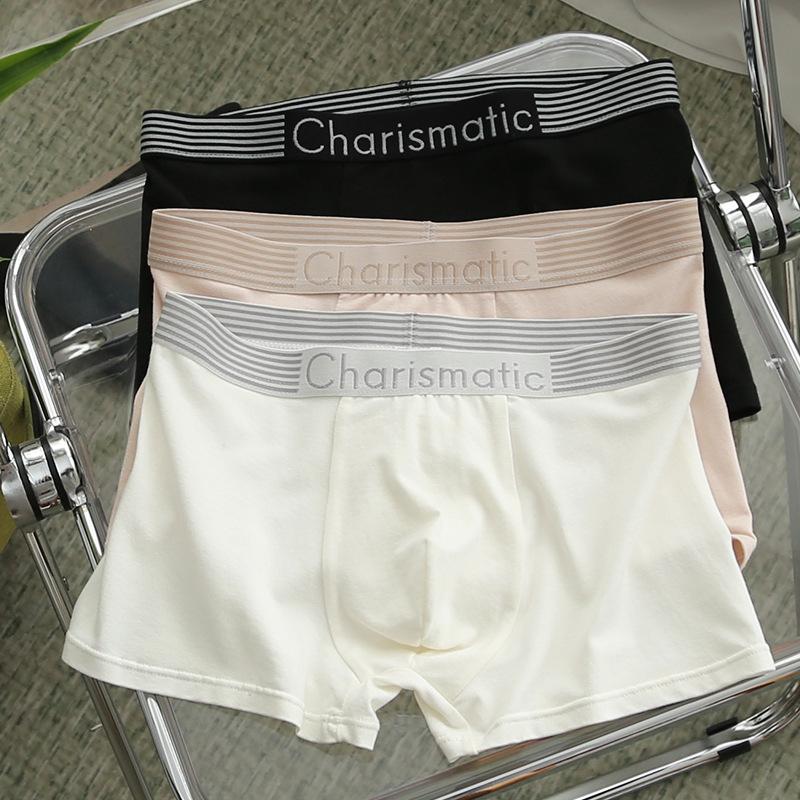 Simple breathable boxer briefs