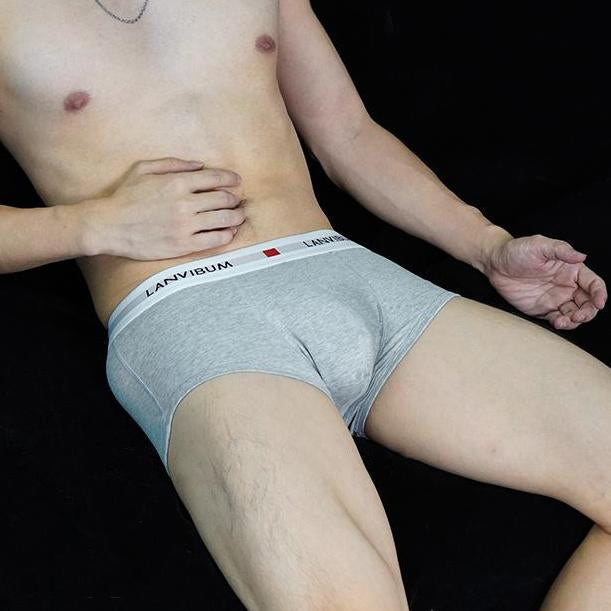 Simple Sexy Cotton Boxer Briefs